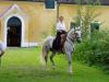 Lilienhof 270805 016
